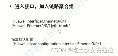 eth-trunkpeizh