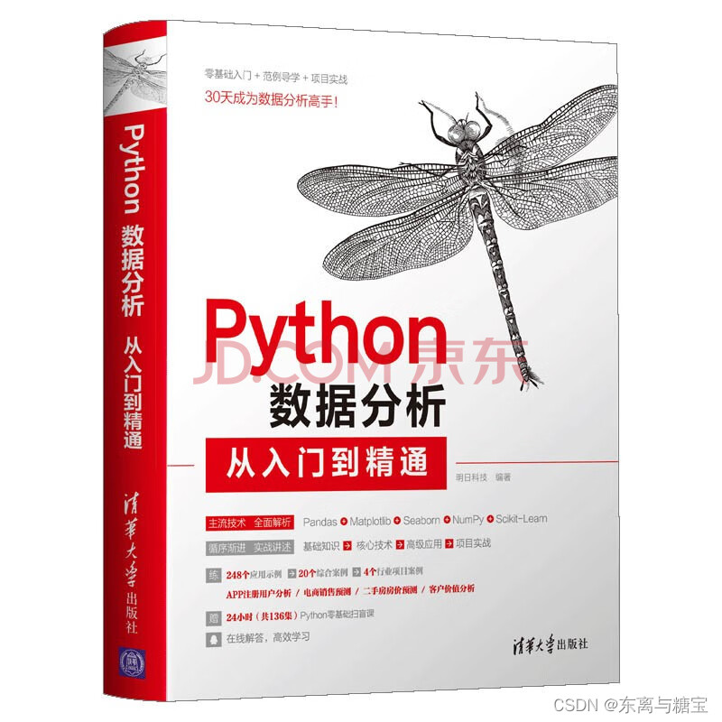 数据分析入门指南：用 Python 开启数据之旅