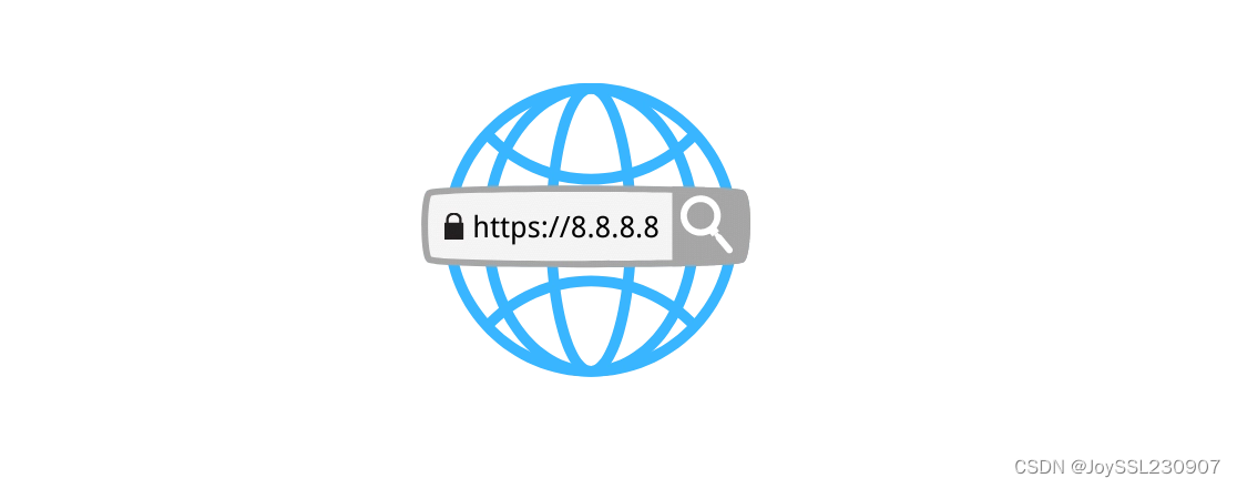 为IP地址申请HTTPS证书