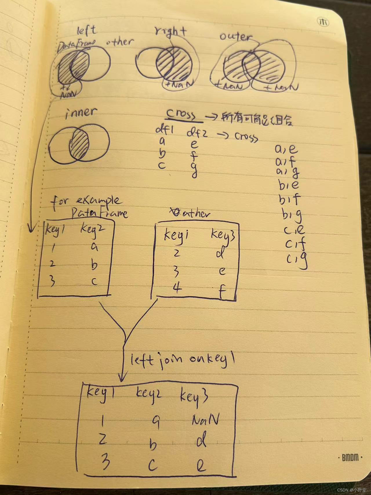 Pandas Dataframe合并连接Join和merge 参数讲解