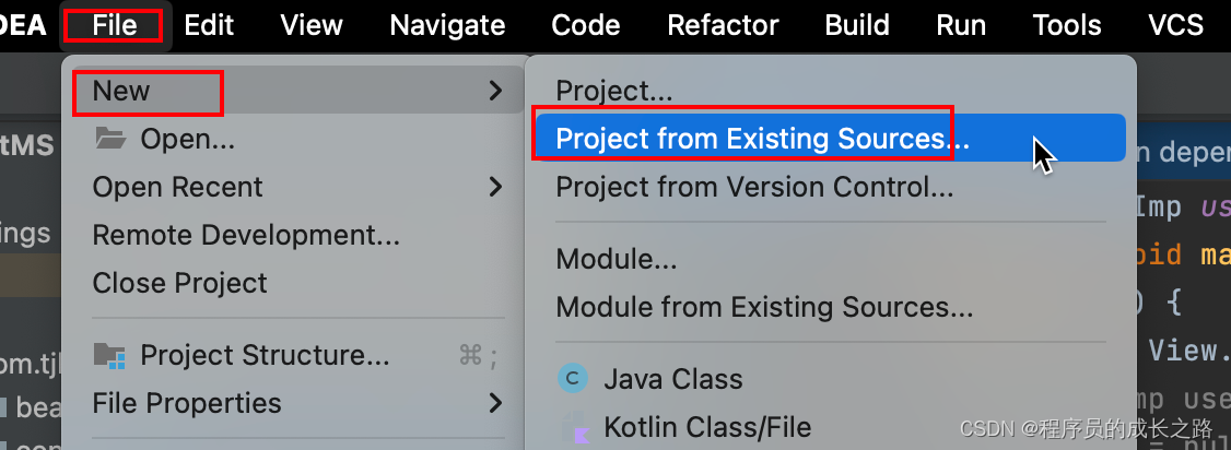 【IDEA】在IntelliJ IDEA中导入Eclipse项目：详细指南