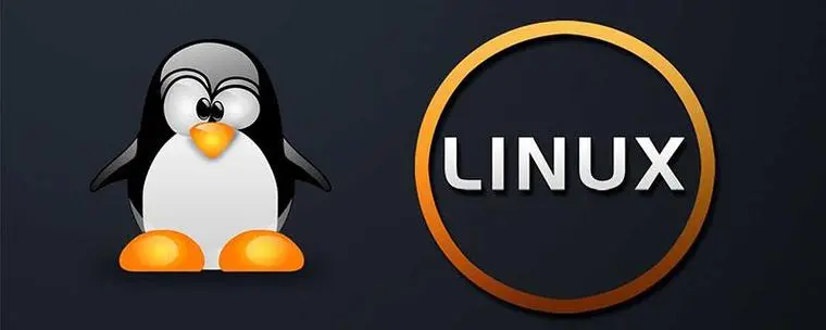 【Linux】ecs 挂载分区