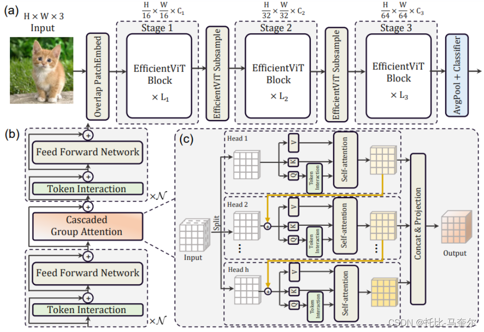 4.18.2 EfficientViT:具有级联组注意力的内存高效Vision Transformer