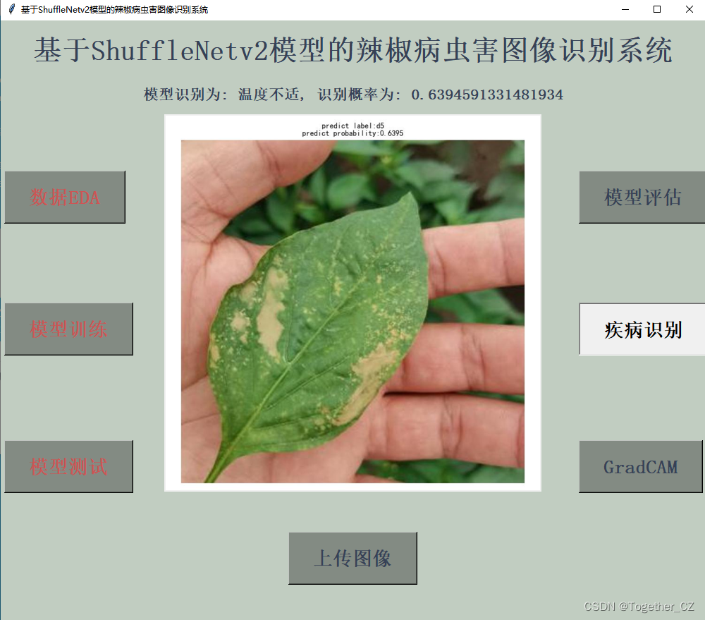 python基于轻量级卷积神经网络模型ShuffleNetv2开发构建辣椒病虫害图像识别系统