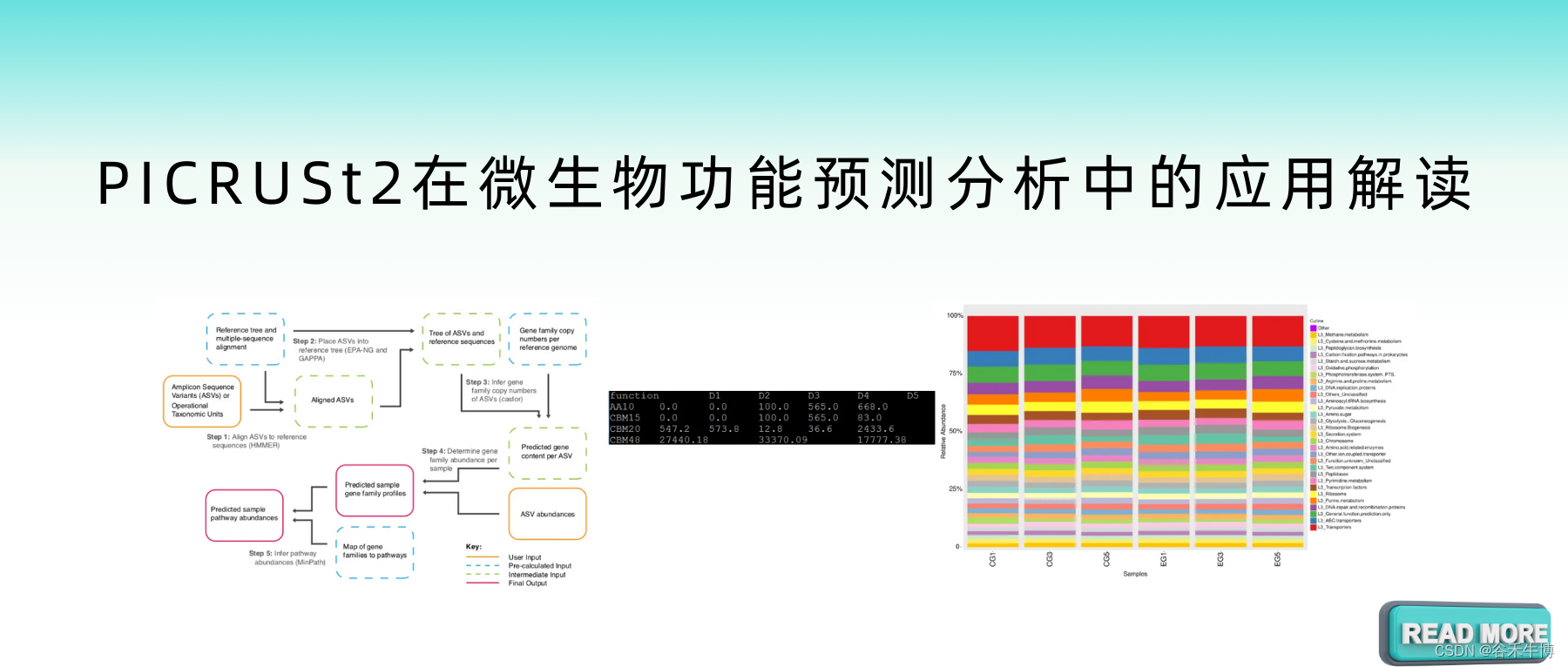 PICRUSt2在微生物功能预测分析中的应用解读