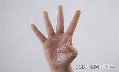 手势识别+人脸识别+姿态估计（关键点检测+教程+代码）