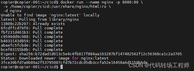基于Docker构建CI/CD工具链（八）用nginx收集测试报告
