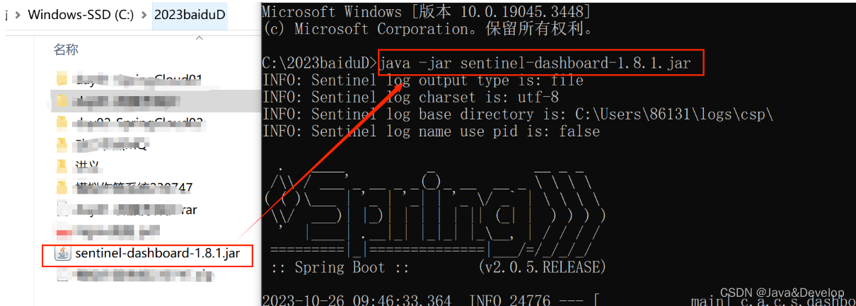 jeecg启动Sentinel 一直是空白页面 解决办法用 外部 Sentinel SpringCloud之Sentinel概述和安装及简单整合