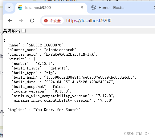 Windows安装ElasticSearch