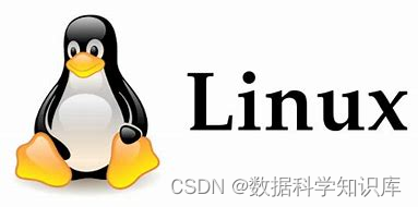 Linux---基础操作命令