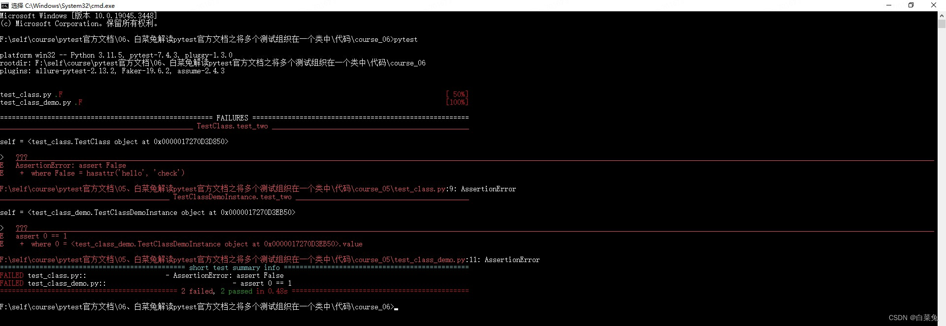 06、pytest将多个测试放在一个类中