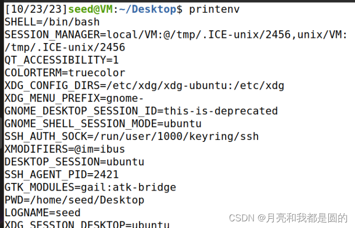 网络攻防--环境变量与Set_UID