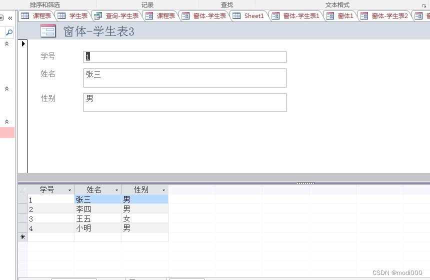 Microsoft Access Database使用