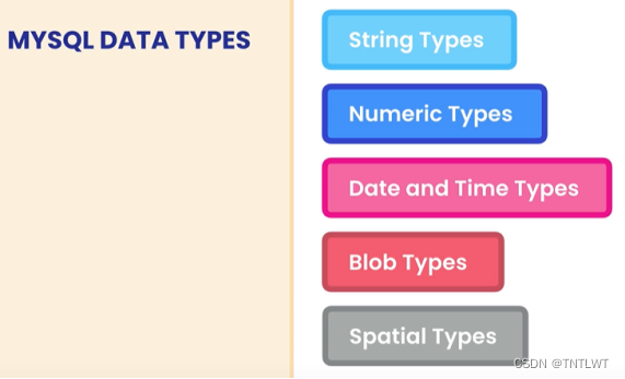 MySQL：数据类型