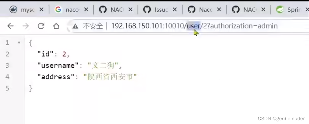 SpringCloud+RabbitMQ+Docker+Redis+搜索+分布式 基础（持续更新~）