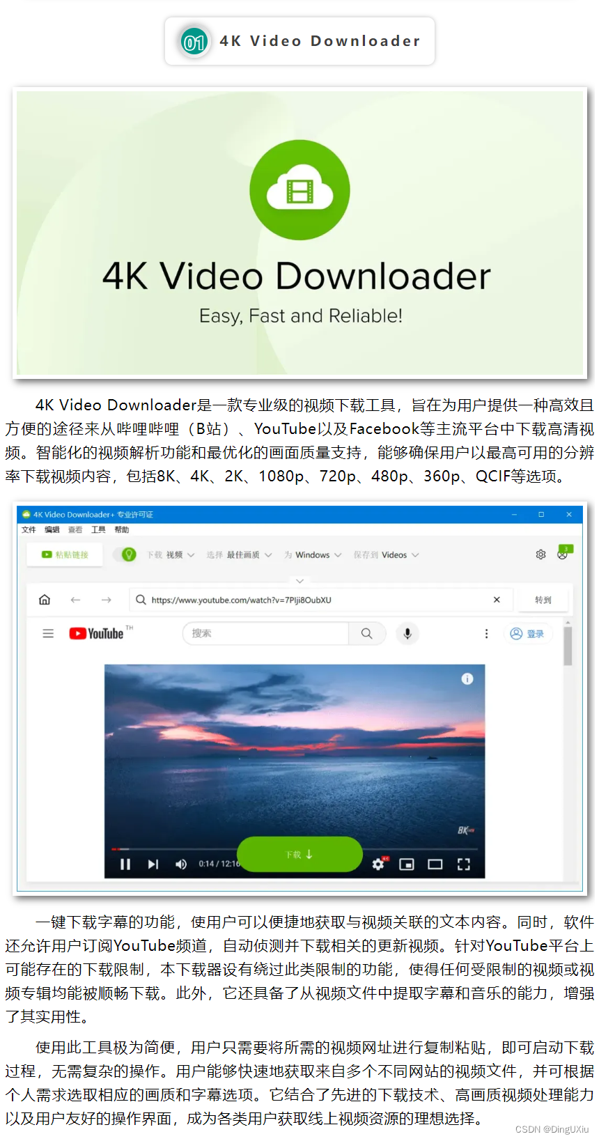 4K Video Downloader v4.30.0.5644 一款专业级的4K视频下载器