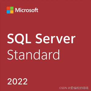 SQL Server 2022从入门到精通