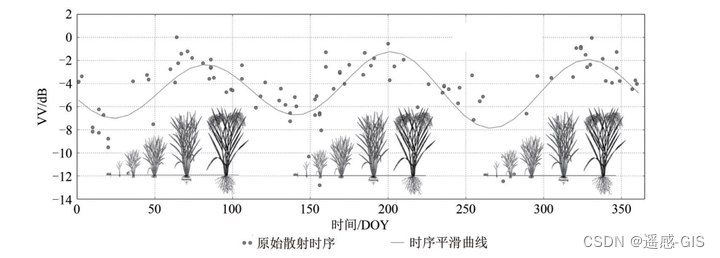 水稻叶蘖同伸关系图图片