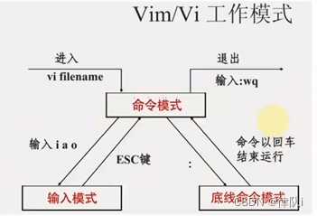 【Linux】基础命令