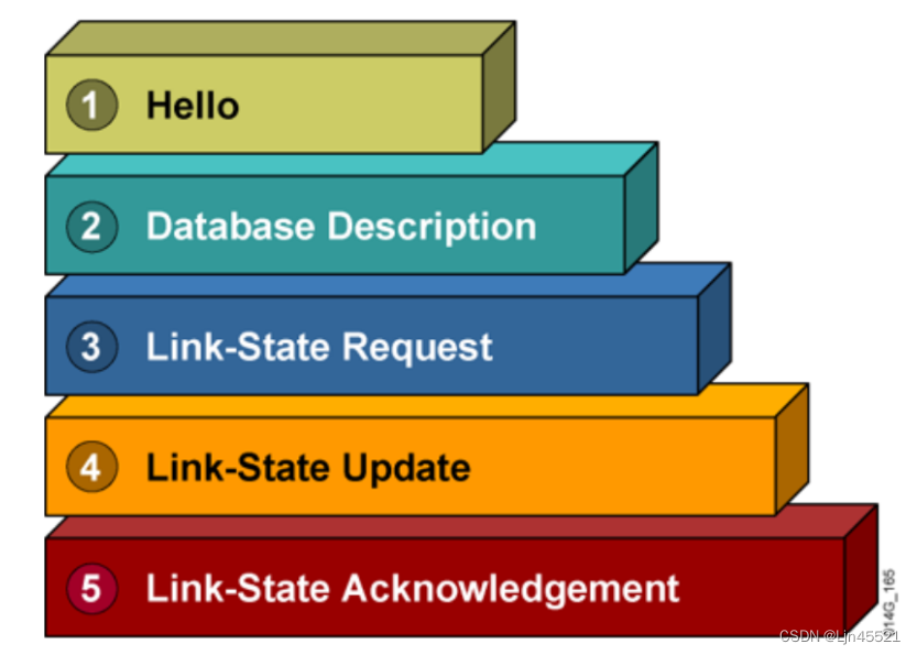 <span style='color:red;'>OSPF</span>内容<span style='color:red;'>总结</span>