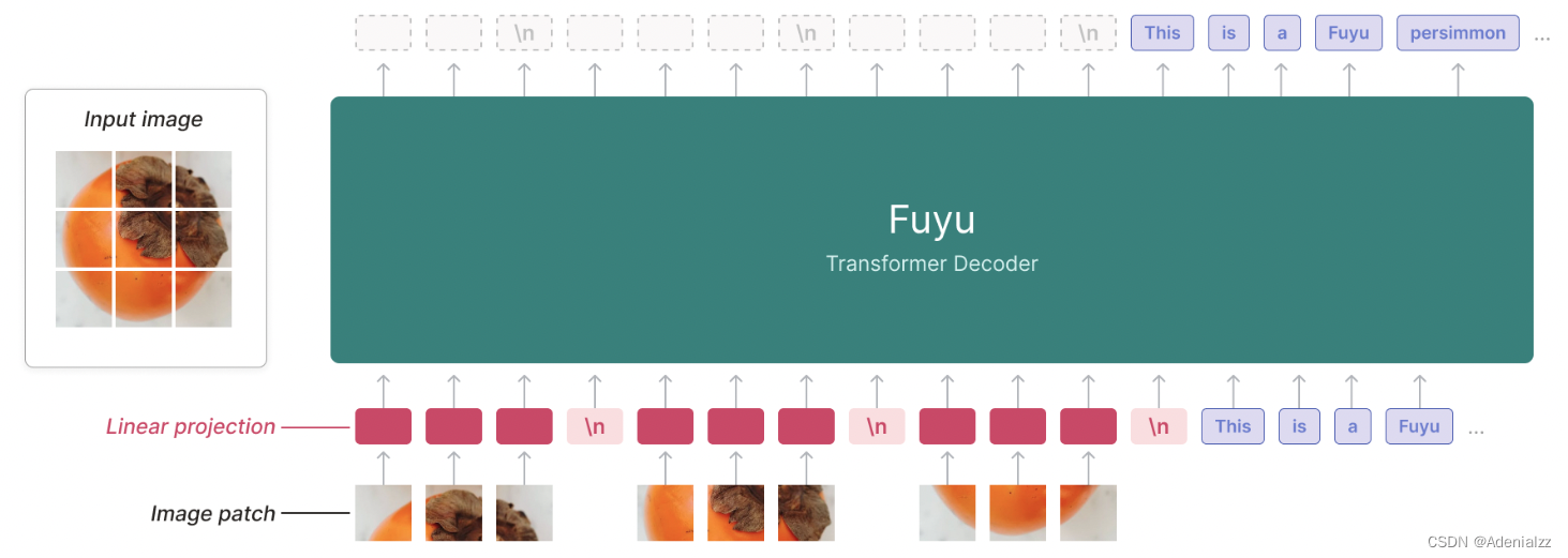 Fuyu-8B A Multimodal Architecture for AI Agents