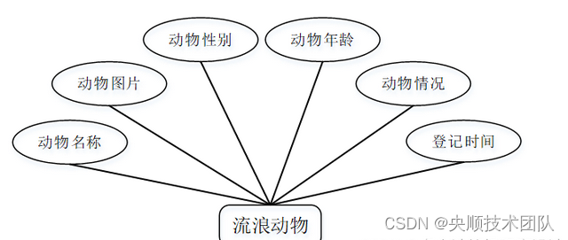 图4-2流浪动物实体属性图