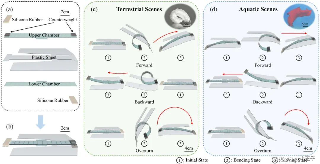 《IEEE Transactions on Robotics》发表！北京大学研究<span style='color:red;'>团队</span>推出具有多种运动模态<span style='color:red;'>的</span>软体两栖<span style='color:red;'>机器人</span>