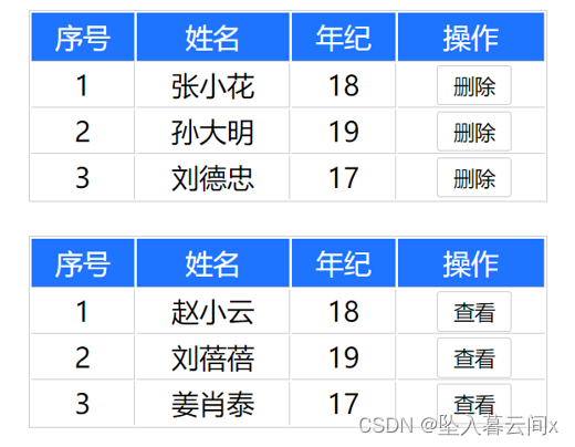 13-Vue基础之自定义指令与插槽的使用