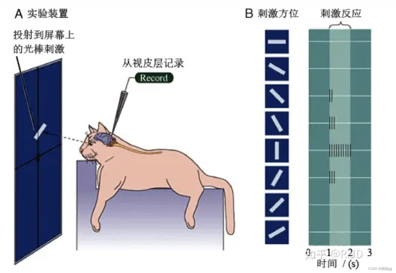 <span style='color:red;'>深度</span><span style='color:red;'>学习</span><span style='color:red;'>之</span>卷积神经<span style='color:red;'>网络</span>