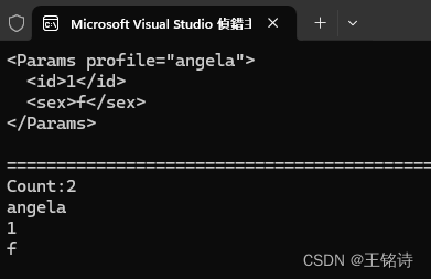 C# XML 例子