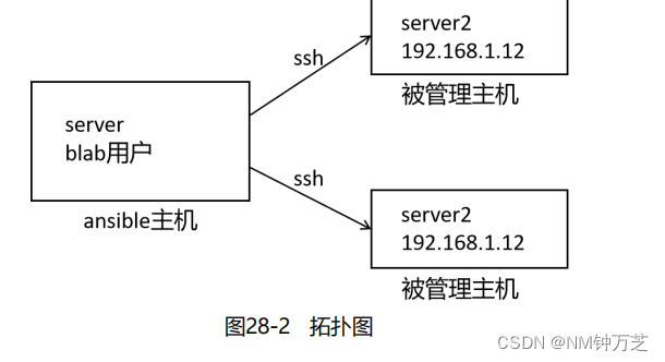 了解linux的ansible 的使用