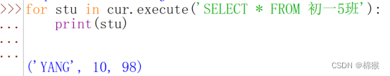 Python中使用SQLite数据库的方法2-2