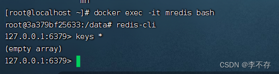 Docker 操作redis