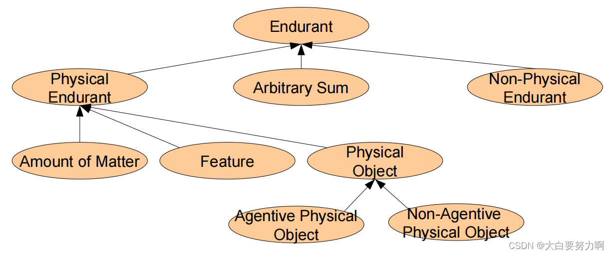 Endurants in DOLCE1