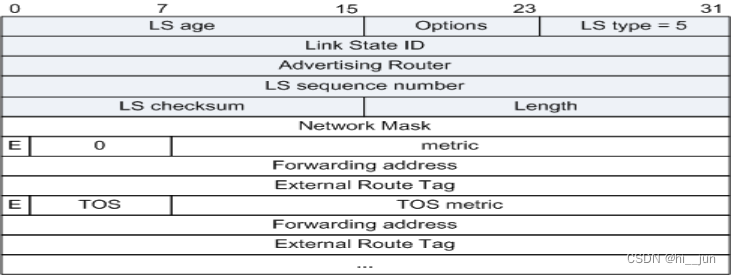 AS-External-LSA