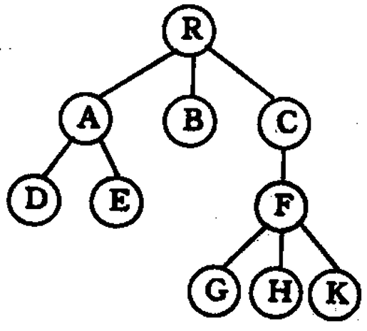 （四十一）第 6 章 树和二叉树（包含双亲的树的孩子链表存储）