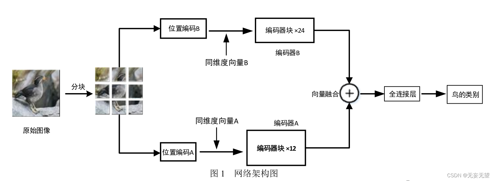 vit細粒度圖像分類四btnet學習筆記