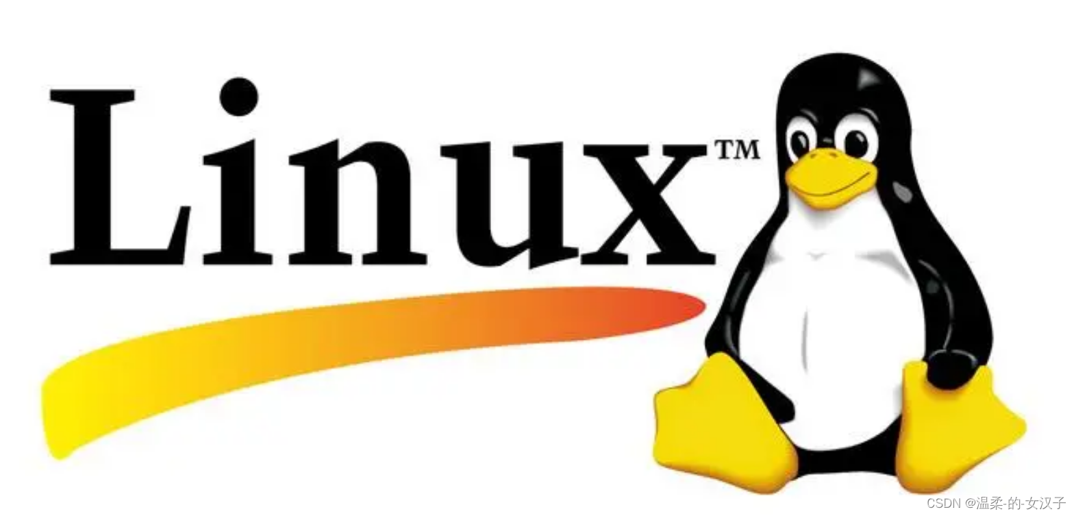 Linux 系统 ftp的安装与配置