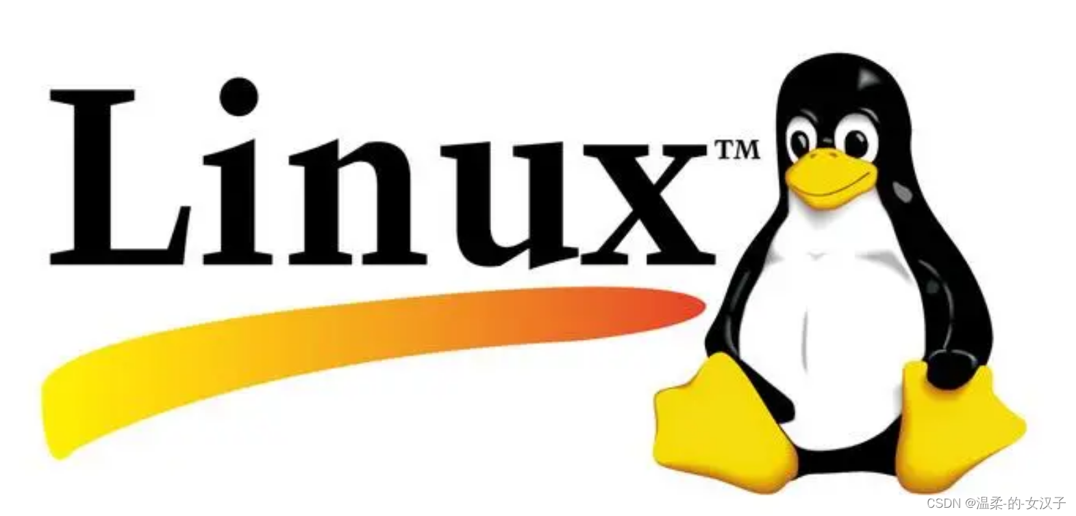 Linux 系统 <span style='color:red;'>ftp</span>的安装<span style='color:red;'>与</span><span style='color:red;'>配置</span>