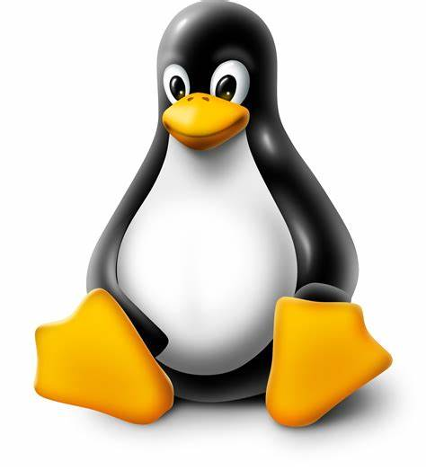 Linux 一键部署alfresco 6