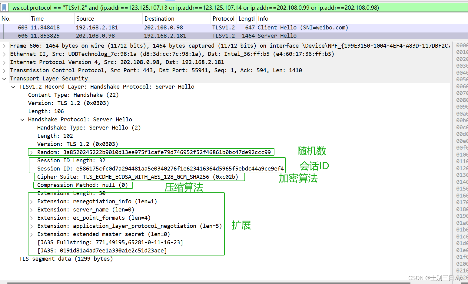 网络协议安全：SSL/TLS协议详解，SSL协议执行原理、报文格式解析，Wireshark抓包分析SSL协议