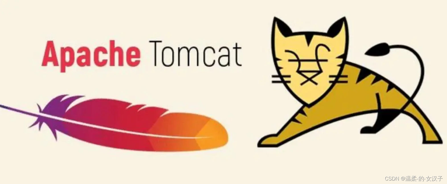 Centos <span style='color:red;'>配置</span><span style='color:red;'>JDK</span><span style='color:red;'>和</span>Tomcat（新手版）