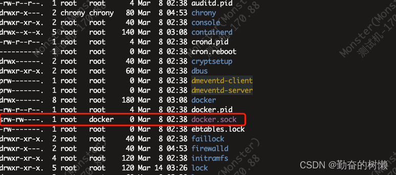 Jenkins内部使用Docker