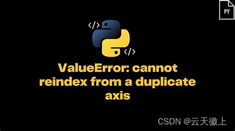 【Python报错】已解决ValueError: cannot reindex from a duplicate axis