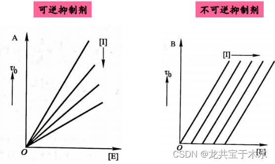 10生物化学与分子生物学——酶促反应动力学_如何区别顺次反应和乒乓反应-CSDN博客