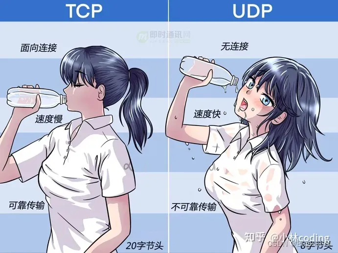 TCP与UDP