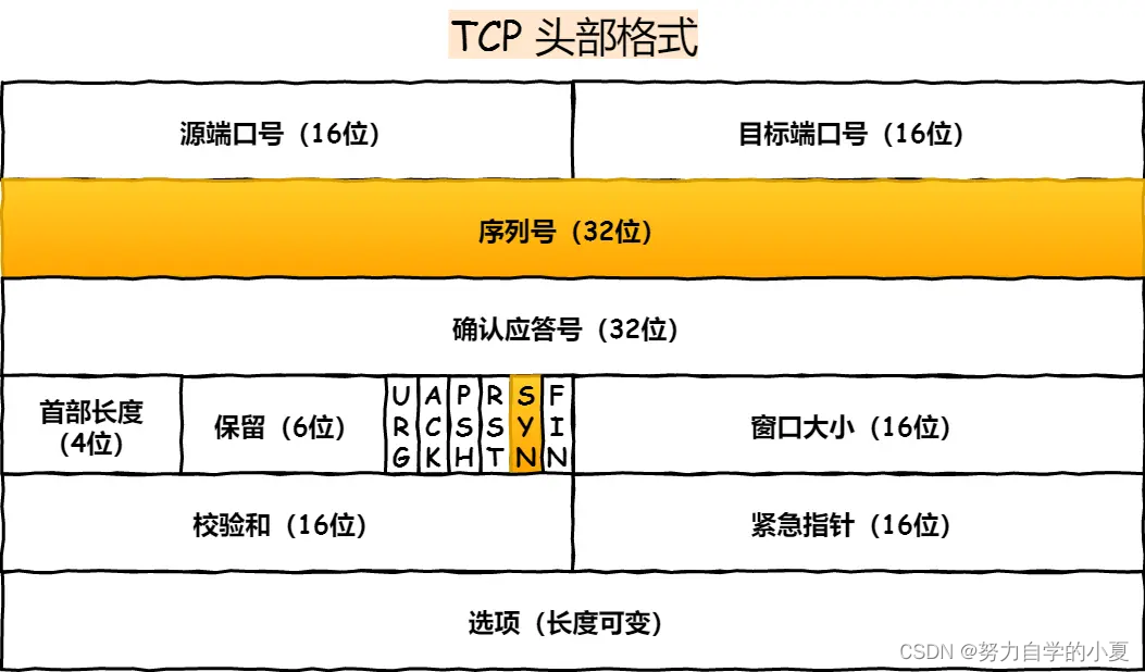 TCP 头部中序列号