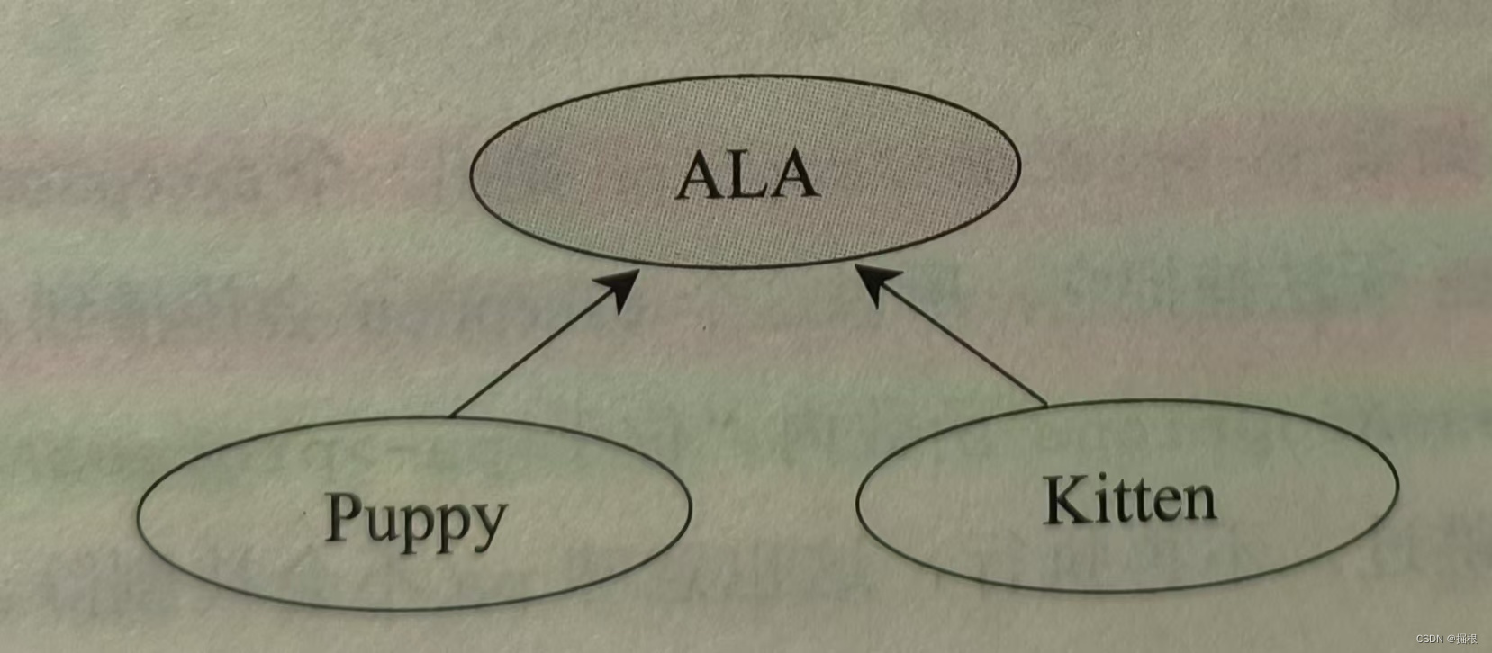 copy constructor assignment operator destructor