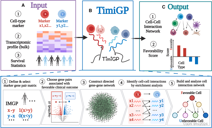 TimiGP<span style='color:red;'>细胞</span><span style='color:red;'>互</span><span style='color:red;'>作</span>算法