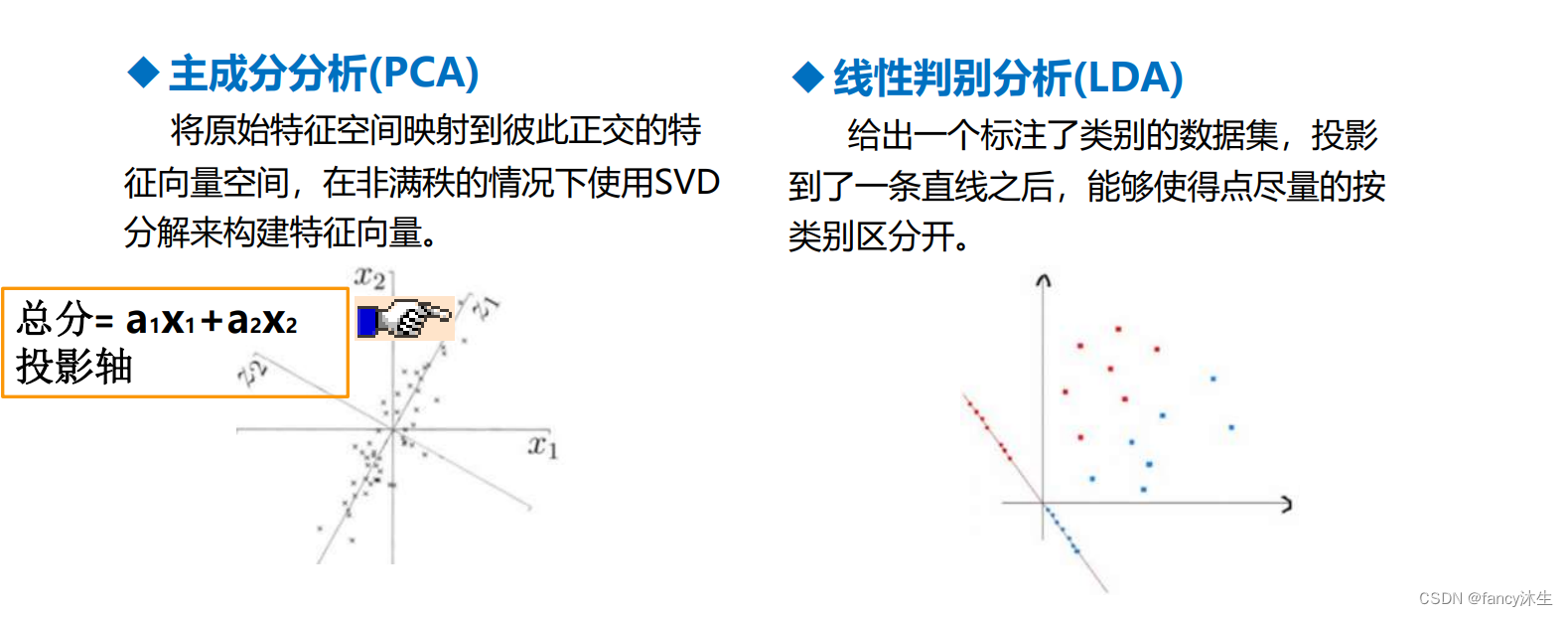 特征降维